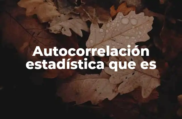 Autocorrelación Estadística que es