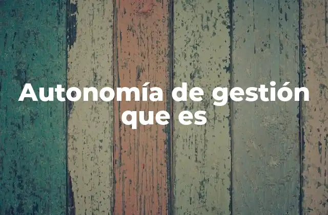 Autonomía de Gestión que es