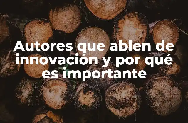 Autores que Ablen de Innovación y por Qué es Importante