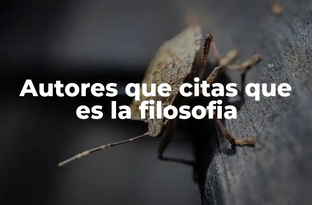 Autores que Citas que es la Filosofia