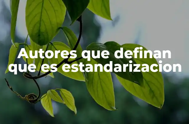 Autores que han explorado la estandarización desde perspectivas teóricas