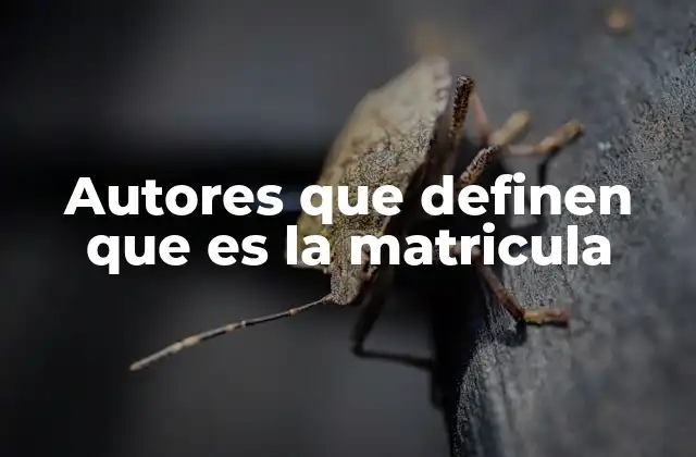 Autores que Definen que es la Matricula