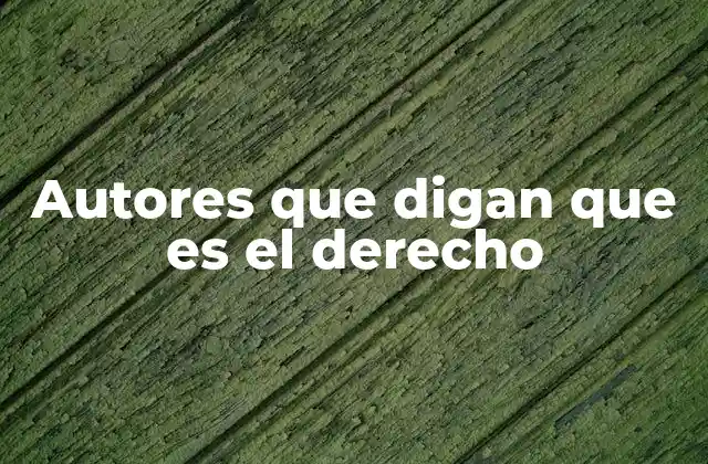 Autores que Digan que es el Derecho