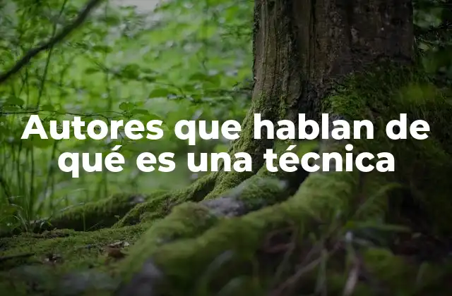 Autores que Hablan de Qué es una Técnica 2 El concepto de técnica en el ámbito educativo