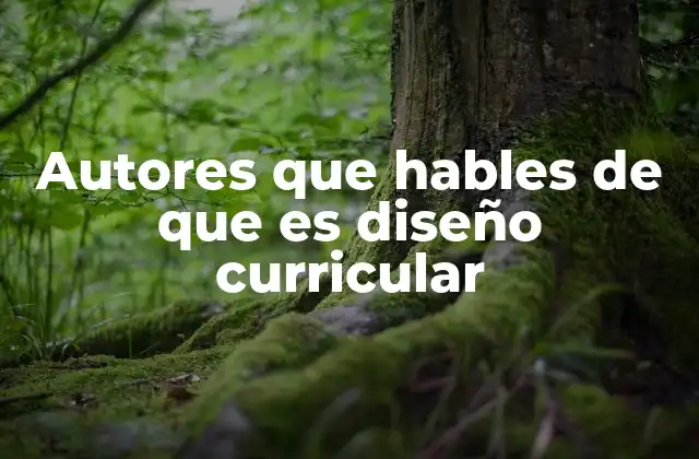 Autores que Hables de que es Diseño Curricular
