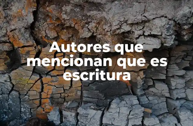 Autores que Mencionan que es Escritura