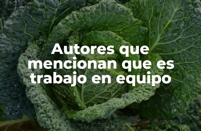 Autores que Mencionan que es Trabajo en Equipo