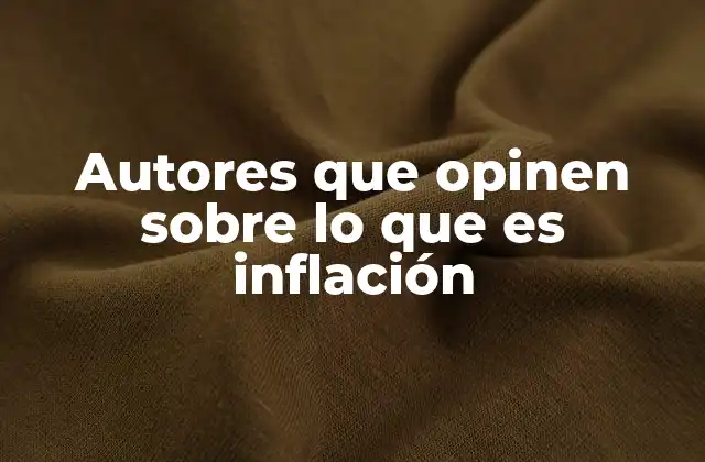 Autores que Opinen sobre Lo que es Inflación