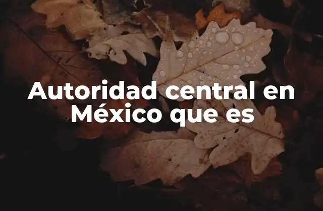 Autoridad Central en México que es