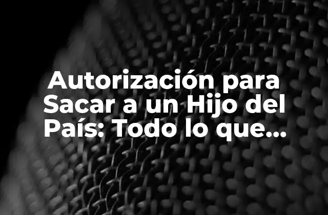 Autorización para Sacar a un Hijo Del País: Todo Lo que Debes Saber