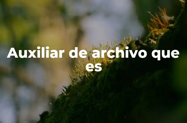 Auxiliar de Archivo que es 2 El papel del auxiliar de archivo en el entorno moderno