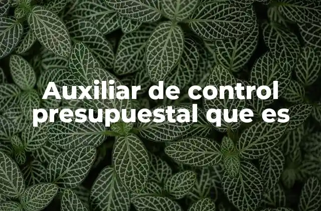 Auxiliar de Control Presupuestal que es 2 La importancia del control financiero en las organizaciones