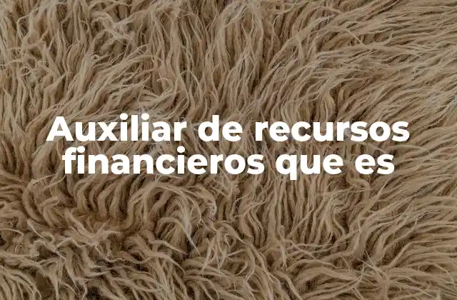 Auxiliar de Recursos Financieros que es