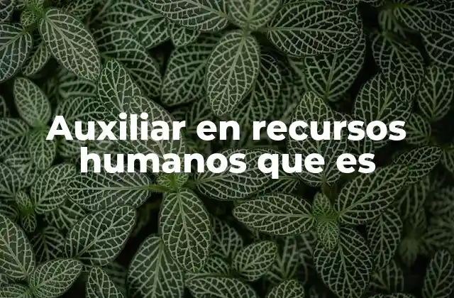 Auxiliar en Recursos Humanos que es