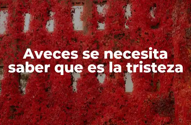 Aveces Se Necesita Saber que es la Tristeza