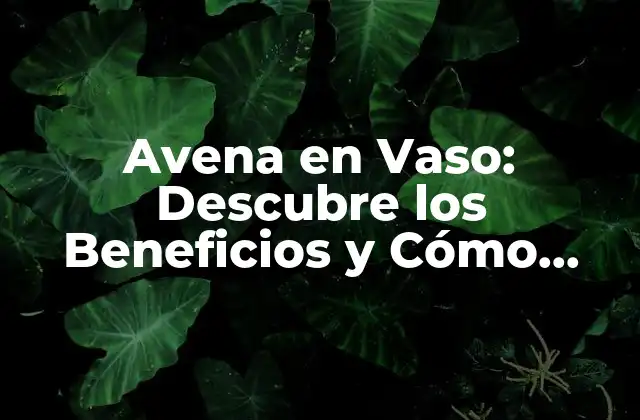 Avena en Vaso: Descubre los Beneficios y Cómo Prepararla