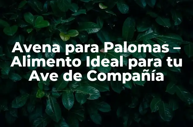 Avena para Palomas – Alimento Ideal para Tu Ave de Compañía
