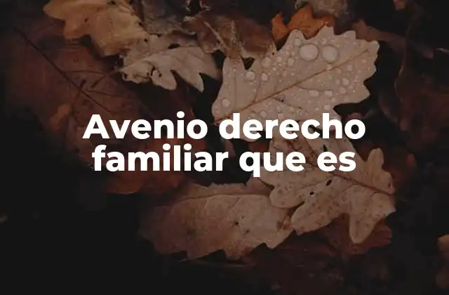 Avenio Derecho Familiar que es