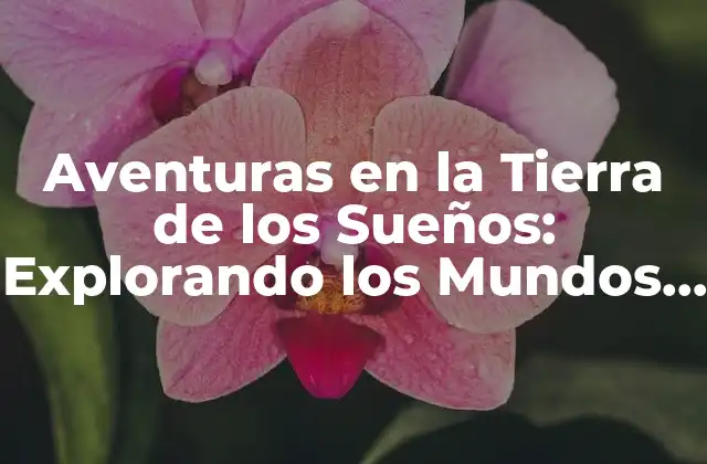 Aventuras en la Tierra de los Sueños: Explorando los Mundos Oníricos