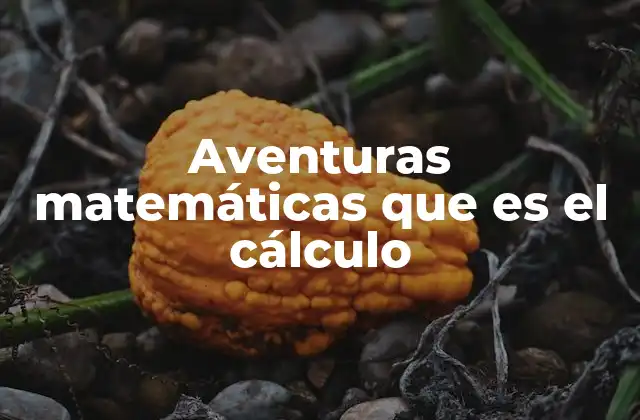 Aventuras Matemáticas que es el Cálculo