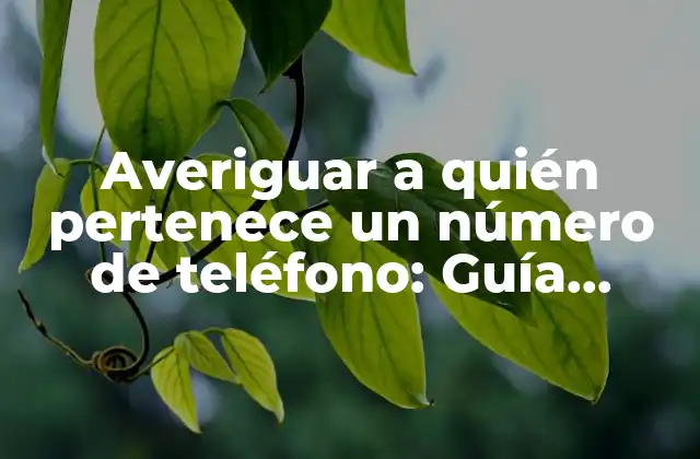 Averiguar a Quién Pertenece un Número de Teléfono: Guía Definitiva