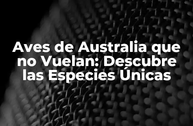 Aves de Australia que No Vuelan: Descubre las Especies Únicas