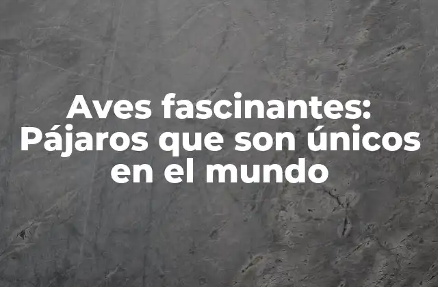 Aves Fascinantes: Pájaros que Son Únicos en el Mundo
