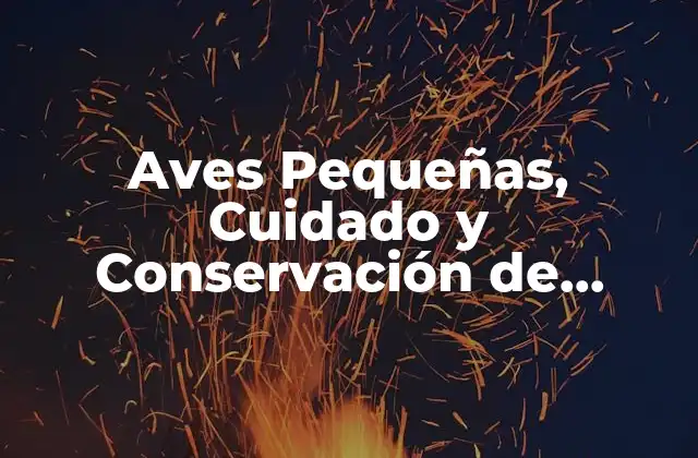 Aves Pequeñas, Cuidado y Conservación de Especies en Peligro