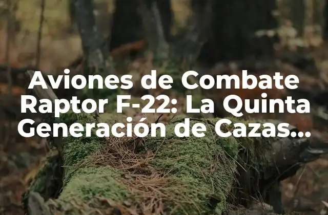 Aviones de Combate Raptor F-22: la Quinta Generación de Cazas de Superioridad Aérea