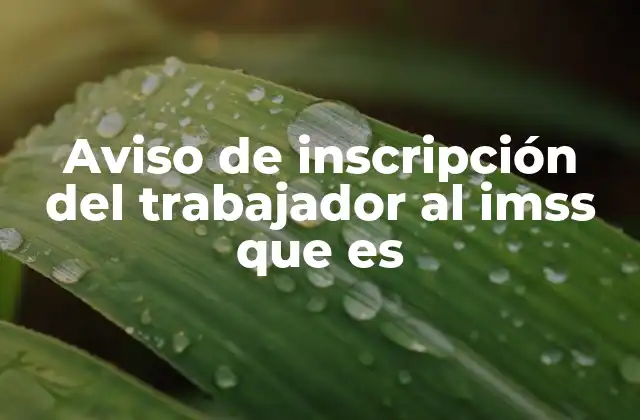 Aviso de Inscripción Del Trabajador Al Imss que es