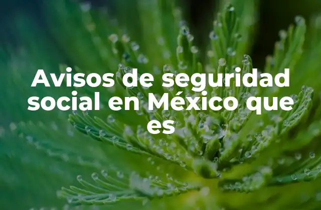 Avisos de Seguridad Social en México que es
