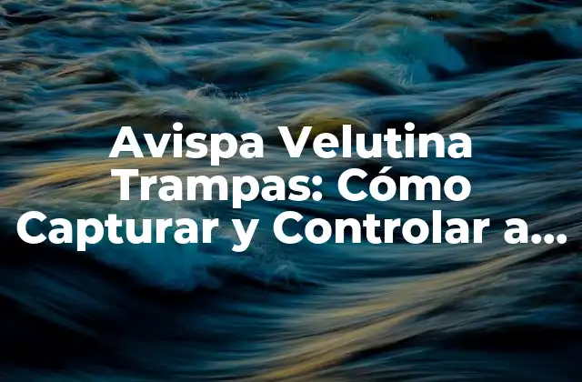 Avispa Velutina Trampas: Cómo Capturar y Controlar a Esta Plaga