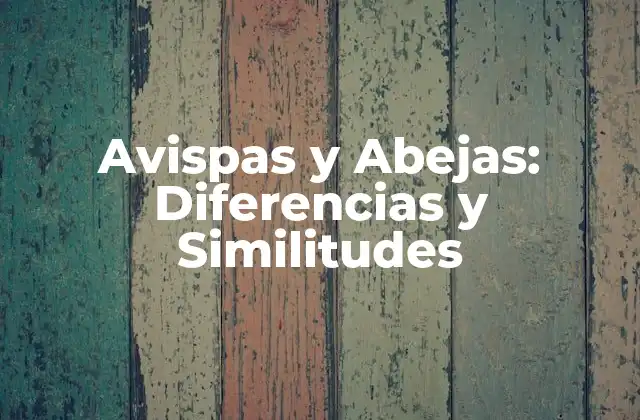 Avispas y Abejas: Diferencias y Similitudes 2 ¿Cuál es la principal diferencia entre avispas y abejas?