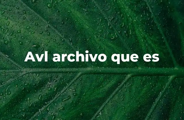 Contextos en los que aparece el archivo AVL