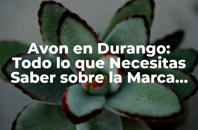 Avon en Durango: Todo Lo que Necesitas Saber sobre la Marca de Belleza en la Ciudad Del Sol