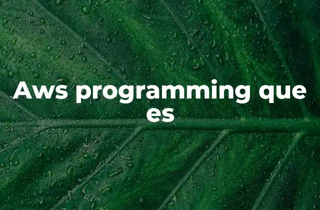 Aws Programming que es