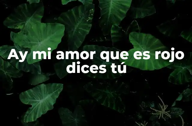 Ay Mi Amor que es Rojo Dices Tú