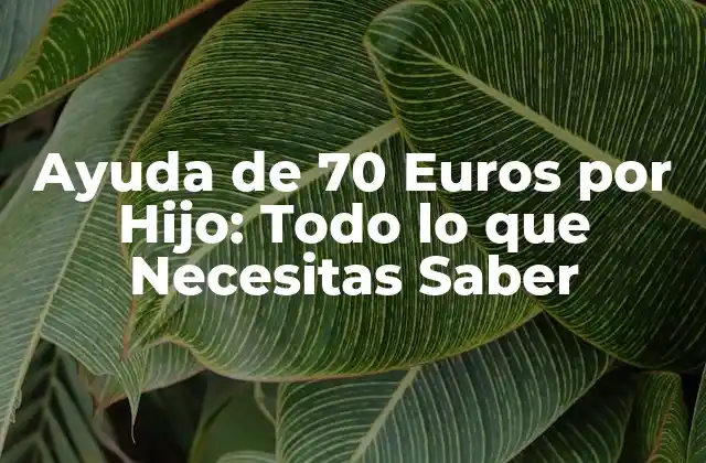 Ayuda de 70 Euros por Hijo: Todo Lo que Necesitas Saber