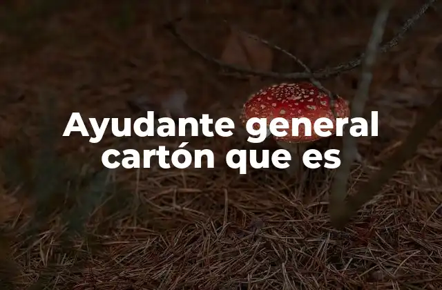 El cartón como material versátil y sus aliados