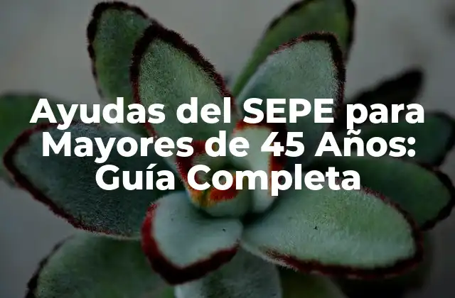 Ayudas Del Sepe para Mayores de 45 Años: Guía Completa