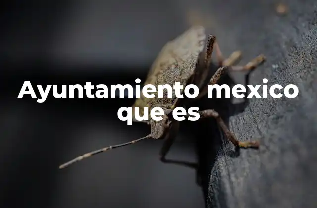 Ayuntamiento Mexico que es