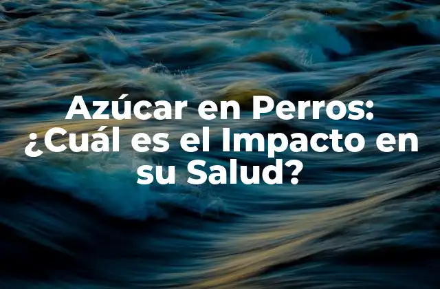¿Cuánta Azúcar Consumen los Perros?