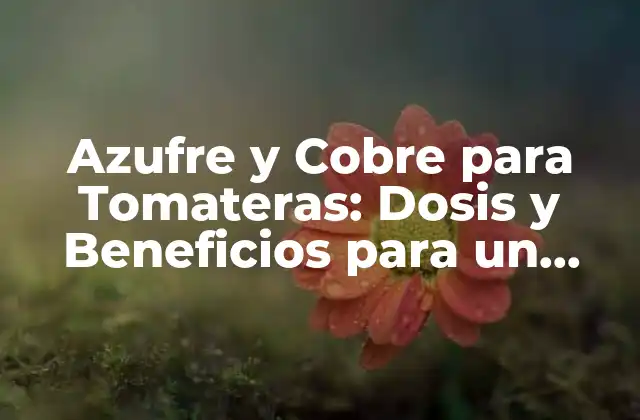 Azufre y Cobre para Tomateras: Dosis y Beneficios para un Cultivo Exitoso