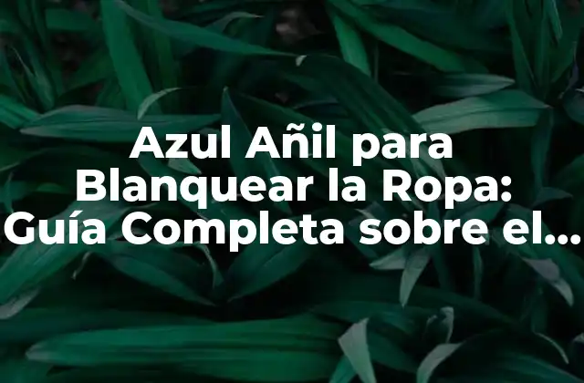 Azul Añil para Blanquear la Ropa: Guía Completa sobre el Mejor Blanqueador Natural