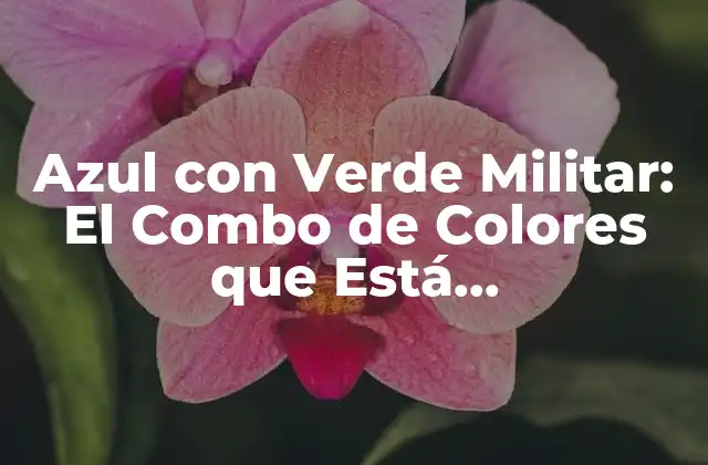 Azul con Verde Militar: el Combo de Colores que Está Revolucionando la Moda