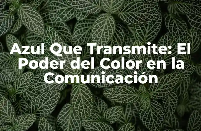 El Significado del Azul en la Psicología del Color