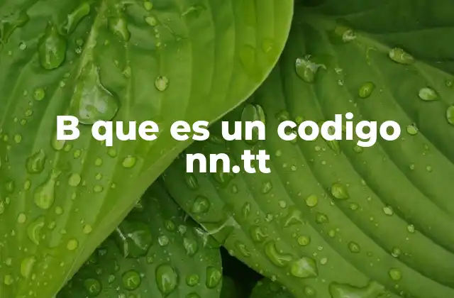 B que es un Codigo Nn.tt