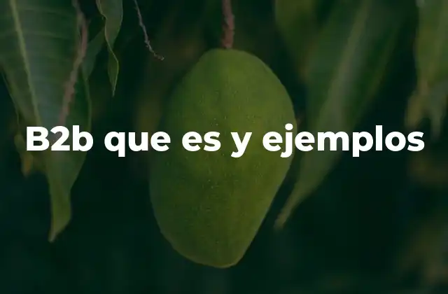 B2b que es y Ejemplos