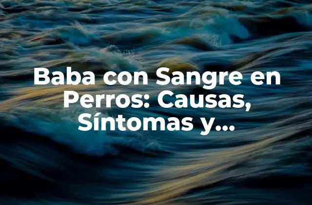 Baba con Sangre en Perros: Causas, Síntomas y Tratamiento