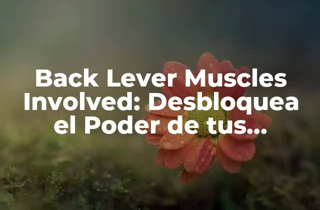 Los Músculos Principales Implicados en el Back Lever